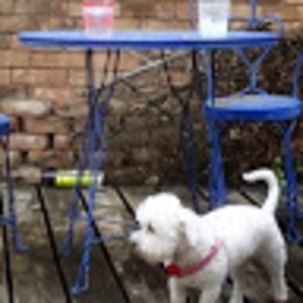 Meet your Posher, Anna